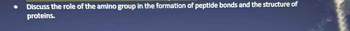 Discuss the role of the amino group in the formation of peptide bonds and the structure of 
proteins.
