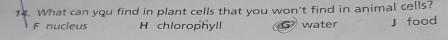 What can you find in plant cells that you won't find in animal cells?
F nucleus H chlorophyll water J food