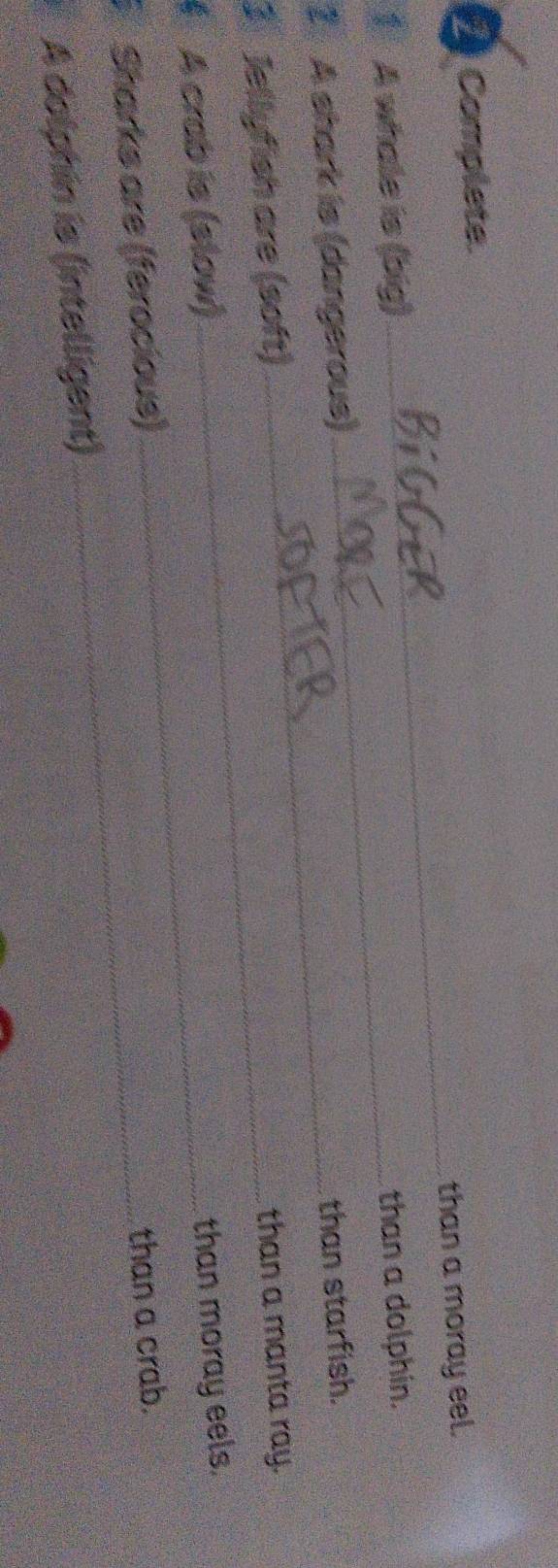 Complete.
_than a moray eel.
1 A whale is (big) _than a dolphin.
2 A shark is (dangerous) than starfish.
3 Jellyfish are (soft)
than a manta ray.
§ A crab is (slow)_
_
Sharks are (ferocious) than moray eels.
than a crab.
A dolphin is (intelligent)