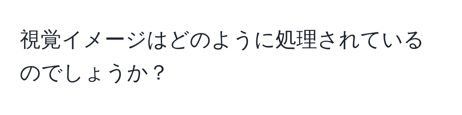 視覚イメージはどのように処理されているのでしょうか？