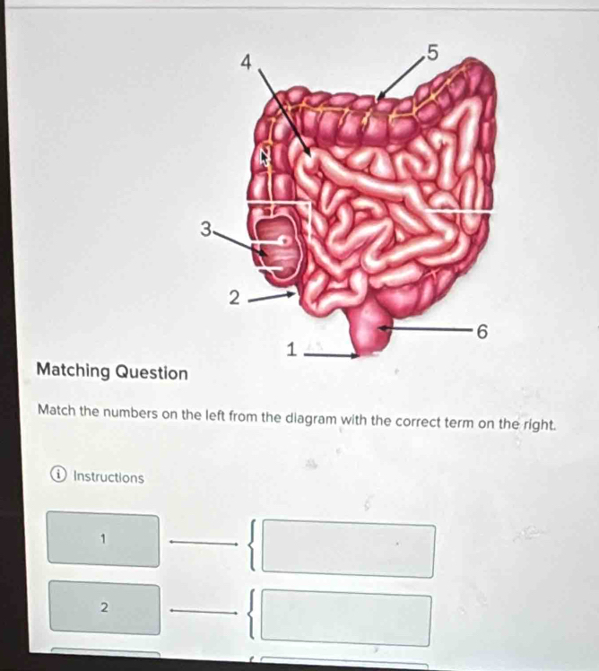 Matching Question 
Match the numbers on the left from the diagram with the correct term on the right. 
① Instructions 
1
2