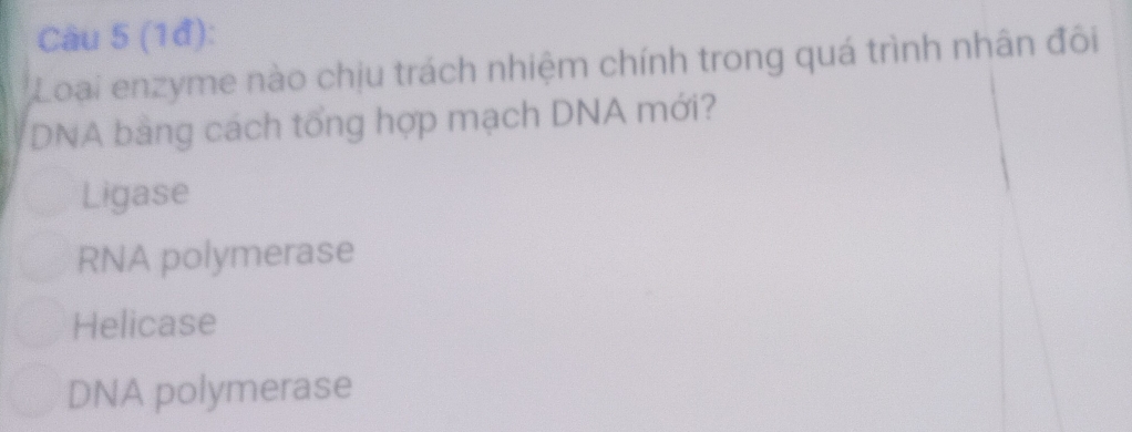 (1đ):
Loại enzyme nào chịu trách nhiệm chính trong quá trình nhân đôi
DNA bảng cách tổng hợp mạch DNA mới?
Ligase
RNA polymerase
Helicase
DNA polymerase