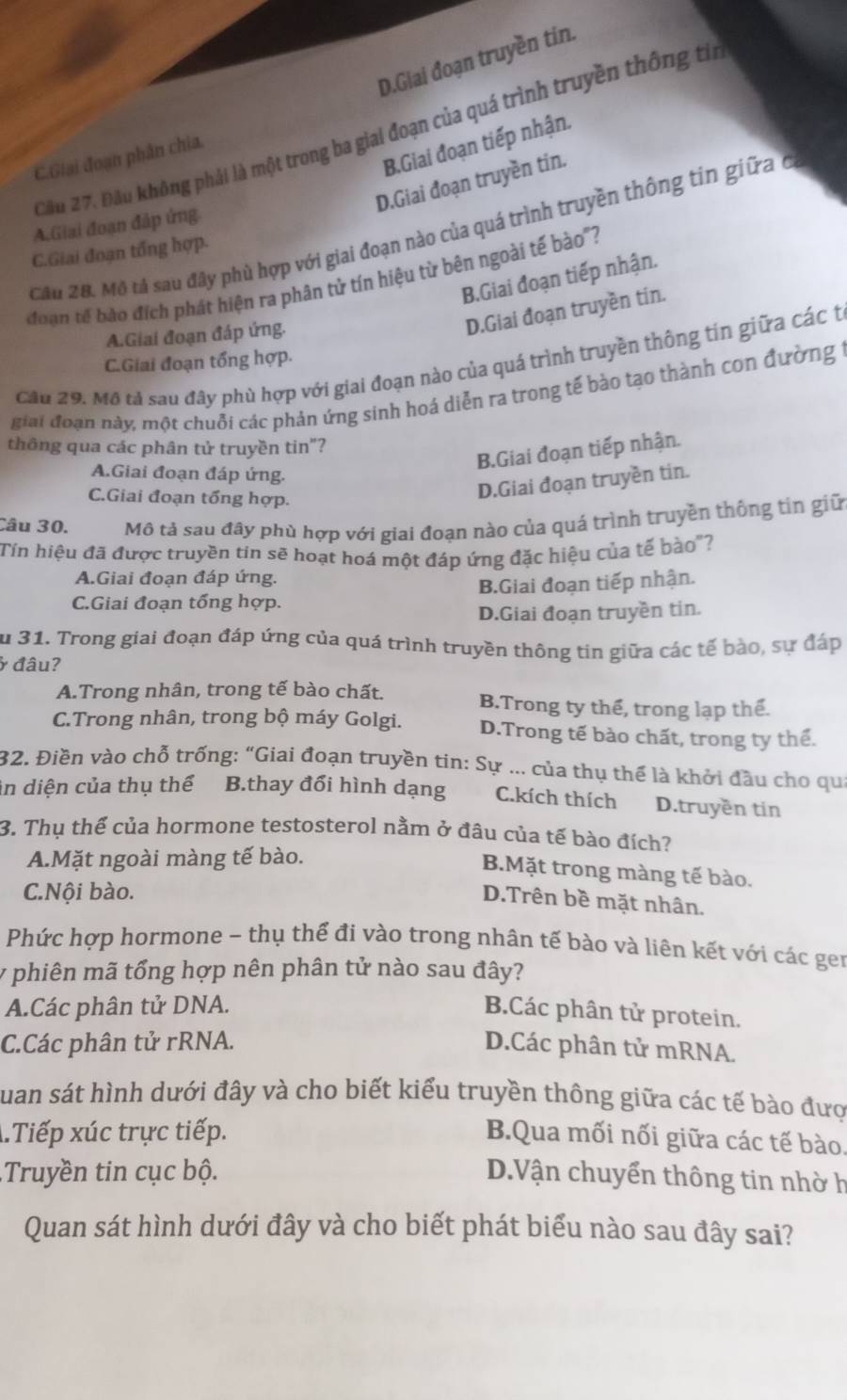 D.Giai đoạn truyền tin.
Cầu 27. Đầu không phải là một trong ba giai đoạn của quá trình truyền thông ti
B.Giai đoạn tiếp nhận.
C.Giai đoạn phân chia.
D.Giai đoạn truyền tin.
A.Giai đoạn đảp ứng
Cầu 28. Mô tả sau đây phù hợp với giai đoạn nào của quá trình truyền thông tin giữa ở
C.Giai đoạn tổng hợp.
B.Giai đoạn tiếp nhận.
đoạn tế bào đích phát hiện ra phân tử tín hiệu từ bên ngoài tế bào"?
A.Giai đoạn đáp ứng.
D.Giai đoạn truyền tin.
Câu 29. Mô tả sau đây phù hợp với giai đoạn nào của quá trình truyền thông tin giữa các t
C.Giai đoạn tổng hợp.
giai đoạn này, một chuỗi các phản ứng sinh hoá diễn ra trong tế bào tạo thành con đường 1
thông qua các phân tử truyền tin"?
B.Giai đoạn tiếp nhận.
A.Giai đoạn đáp ứng.
C.Giai đoạn tổng hợp.
D.Giai đoạn truyền tin.
Câu 30. Mô tả sau đây phù hợp với giai đoạn nào của quá trình truyền thông tin giữ
Tín hiệu đã được truyền tin sẽ hoạt hoá một đáp ứng đặc hiệu của tế bào"?
A.Giai đoạn đáp ứng.
C.Giai đoạn tổng hợp. B.Giai đoạn tiếp nhận.
D.Giai đoạn truyền tin.
Su 31. Trong giai đoạn đáp ứng của quá trình truyền thông tin giữa các tế bào, sự đáp
ở đâu?
A.Trong nhân, trong tế bào chất. B.Trong ty thể, trong lạp thể.
C.Trong nhân, trong bộ máy Golgi. D.Trong tế bào chất, trong ty thể.
32. Điền vào chỗ trống: “Giai đoạn truyền tin: Sự ... của thụ thể là khởi đầu cho qua
in diện của thụ thể B.thay đổi hình dạng C.kích thích D.truyền tin
3. Thụ thế của hormone testosterol nằm ở đâu của tế bào đích?
A.Mặt ngoài màng tế bào.
B.Mặt trong màng tế bào.
C.Nội bào.
D.Trên bề mặt nhân.
Phức hợp hormone ~ thụ thể đi vào trong nhân tế bào và liên kết với các gen
y phiên mã tổng hợp nên phân tử nào sau đây?
A.Các phân tử DNA.
B.Các phân tử protein.
C.Các phân tử rRNA. D.Các phân tử mRNA.
Suan sát hình dưới đây và cho biết kiểu truyền thông giữa các tế bào đượ
.Tiếp xúc trực tiếp. B.Qua mối nối giữa các tế bào.
Truyền tin cục bộ. D.Vận chuyển thông tin nhờ h
Quan sát hình dưới đây và cho biết phát biểu nào sau đây sai?