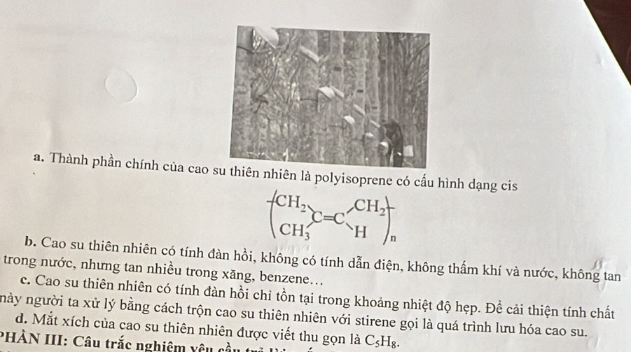 a. Thành phần chính của cao n nhiên là polyisoprene có cấu hình dạng cis
beginpmatrix CH_2 CH_3endpmatrix C=C_H^((CH_2))endpmatrix _n
b. Cao su thiên nhiên có tính đàn hồi, không có tính dẫn điện, không thấm khí và nước, không tan
trong nước, nhưng tan nhiều trong xăng, benzene...
c. Cao su thiên nhiên có tính đàn hồi chỉ tồn tại trong khoảng nhiệt độ hẹp. Để cải thiện tính chất
này người ta xử lý bằng cách trộn cao su thiên nhiên với stirene gọi là quá trình lưu hóa cao su.
d. Mắt xích của cao su thiên nhiên được viết thu gọn là C_5H_8. 
PHÀN III: Câu trắc nghiệm yêu cầu