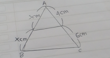 A
scm 4cm
Gcm
Xcm
C
B