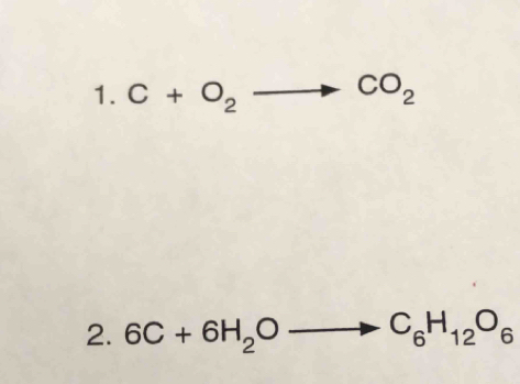 C+O_2to CO_2
2. 6C+6H_2Oto C_6H_12O_6