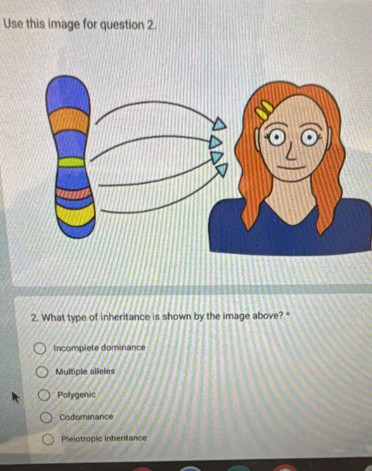 Use this image for question 2.
2. What type of inheritance is shown by the image above? *
Incomplete dominance
Multiple alleles
Polygenic
Codominance
Pleiotropic inheritance