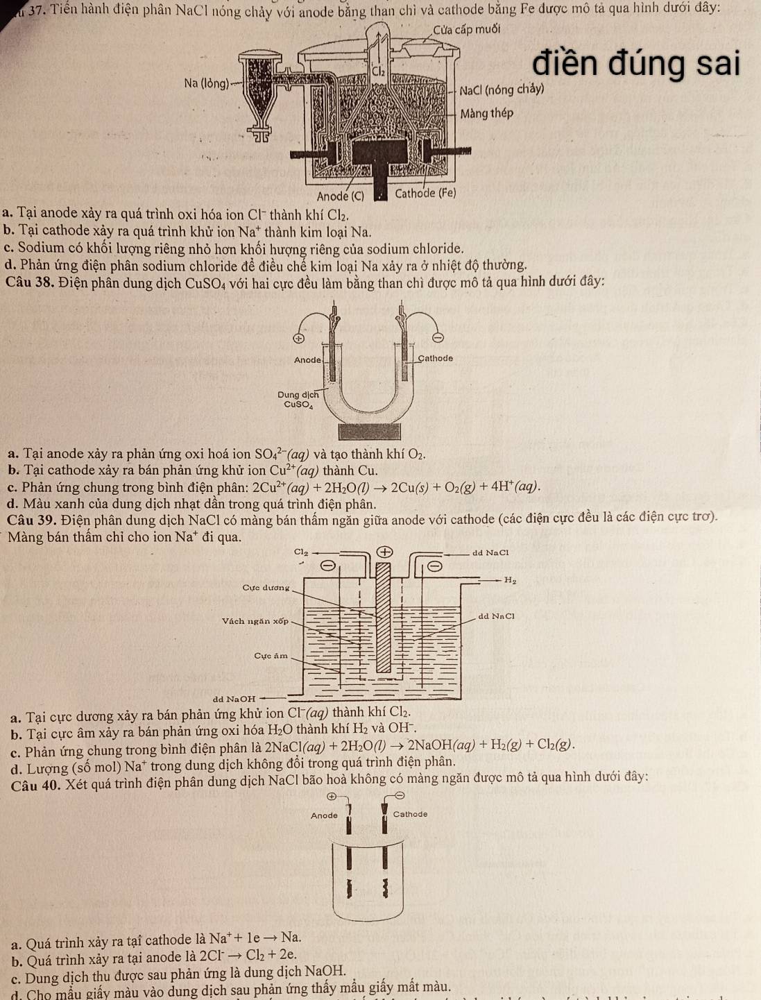 Su 37. Tiền hành điện phân NaCl nóng chảy với anode bằng than chỉ và cathode bằng Fe được mô tả qua hình dưới đây:
iền đúng sai
)
a. Tại anode xảy ra quá trình oxi hóa ion Cl¯ thành khí Cl_2.
b. Tại cathode xảy ra quá trình khử ion Na^+ thành kim loại Na.
c. Sodium có khối lượng riêng nhỏ hơn khối hượng riêng của sodium chloride.
d. Phản ứng điện phân sodium chloride để điều chế kim loại Na xảy ra ở nhiệt độ thường.
Câu 38. Điện phân dung dịch CuSO_4 với hai cực đều làm bằng than chì được mô tả qua hình dưới đây:
a. Tại anode xảy ra phản ứng oxi hoá ion SO_4^((2-)(aq) và tạo thành khí O_2).
b. Tại cathode xảy ra bán phản ứng khử ion Cu^(2+)(aq) thành Cu.
c. Phản ứng chung trong bình điện phân: 2Cu^(2+)(aq)+2H_2O(l)to 2Cu(s)+O_2(g)+4H^+(aq).
d. Màu xanh của dung dịch nhạt dần trong quá trình điện phân.
Câu 39. Điện phân dung dịch NaCl có màng bán thấm ngăn giữa anode với cathode (các điện cực đều là các điện cực trơ).
Màng bán thầm chỉ cho ion Na^+ đi qua.
a. Tại cực dương xảy ra bán phản ứng khử ion Cl^-(aq) thành khí Cl_2.
b. Tại cực âm xảy ra bán phản ứng oxi hóa H₂O thành khí H₂ và OHˉ.
c. Phản ứng chung trong bình điện phân là 2N 2NaCl(aq)+2H_2O(l)to 2NaOH(aq)+H_2(g)+Cl_2(g).
d. Lượng ( (shat omol)Na^+ * trong dung dịch không đổi trong quá trình điện phân.
Câu 40. Xét quá trình điện phân dung dịch NaCl bão hoà không có màng ngăn được mô tả qua hình dưới đây:
②
Anode Cathode
a. Quá trình xảy ra tại cathode là Na^++1eto Na.
b. Quá trình xảy ra tại anode là 2Cl^-to Cl_2+2e.
c. Dung dịch thu được sau phản ứng là dung dịch NaOH.
d. Cho mẫu giấy màu vào dung dịch sau phản ứng thấy mẫu giấy mất màu.