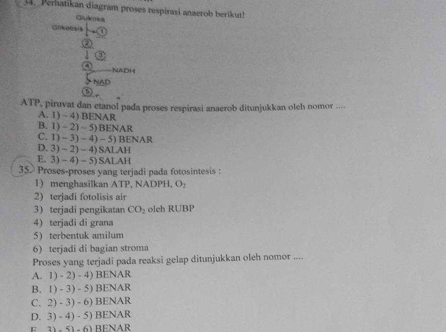 Perhatikan diagram proses respirasi anaerob berikut!
Giukosa
Glikolisia a
a
a
a NADH
NAD
ATP, piruvat dan etanol pada proses respirasi anaerob ditunjukkan oleh nomor ....
A. 1) - 4) BENAR
B.1)-2)-5)BENAR
C. 1)-3)-4)-5) BENAR 
D. 3)-2)-4) SALAH
E. 3)-4)-5)SALAH
35. Proses-proses yang terjadi pada fotosintesis :
1) menghasilkan ATP, NADPH, O_2
2) terjadi fotolisis air
3 terjadi pengikatan CO_2 oleh RUBP
4 terjadi di grana
5) terbentuk amilum
6) terjadi di bagian stroma
Proses yang terjadi pada reaksi gelap ditunjukkan oleh nomor ....
1)-2)-4) BENAR
B. 1)-3)-5) BENAR
C. 2)-3)-6) BENAR
D. 3)-4)-5) BENAR
3)-5)-6) BENAR