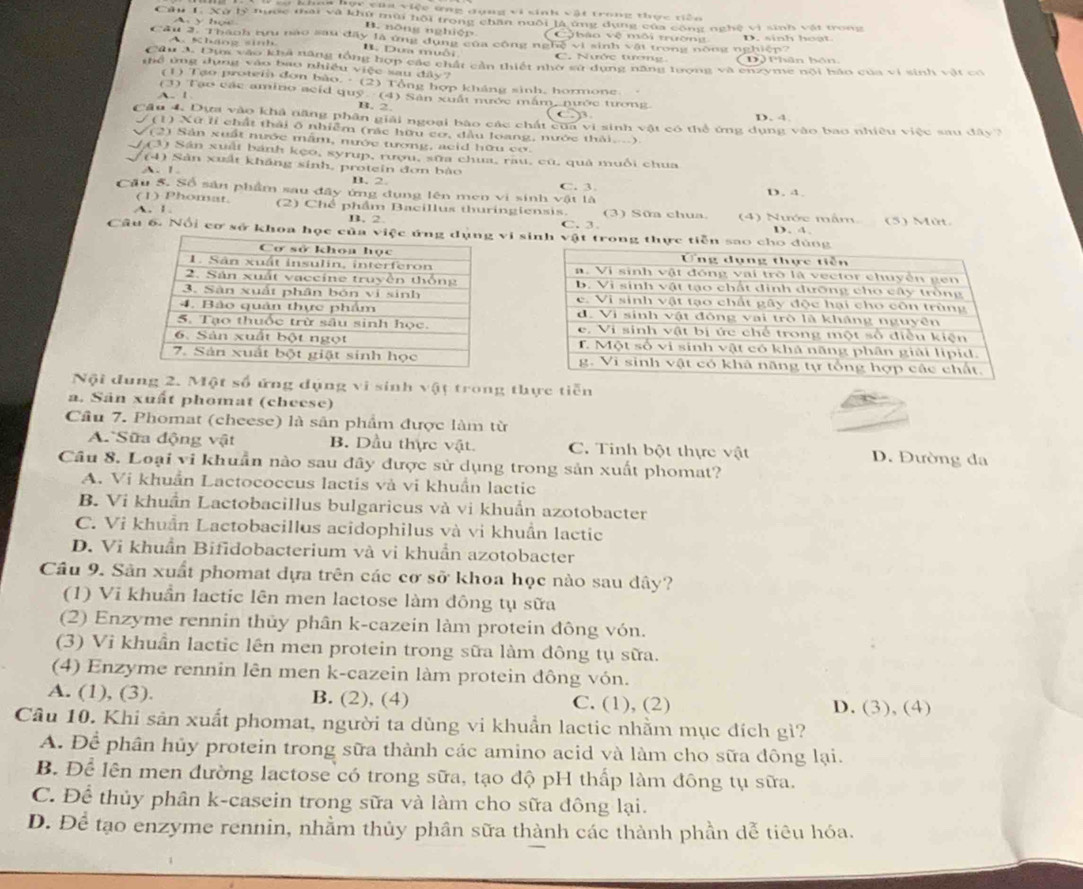 = kheu hợc của việc ơng đụng vi sinh vật trong thực tiên
Câu 1. Xử lý tược mai và khu mùi hội trong chăn nuôi là ứng dụng của công nghệ vì sinh vật trong
y học B. nòng nghiệp ( C háo vệ môi tườg 
Cầu 2. Thành tưu nào sau đây là ứng dụng của công nghệ vi sinh vật trong nông nghiện? D. sinh hoạt.
A. Kháng sinh B. Dưa muôi C. Nước tơng Dộ Phân hán
Câu ac Dim vào khả năng tổng hợp các chất cần thiết nhớ sử dụng năng tượng và enzyme nội báo của vi sinh vật có
thể ứng đụng vào bao nhiều việc sau đây?
(1) Tạo protem đơn bào. - (2) Tổng hợp kháng sinh, hormone
(3) Tạo các amino acid quỹ (4) Sân xuất nước mắm, nước tương
A. 1
B. 2.
D. 4.
Cầu 4. Dựa vào khả năng phân giải ngoại bào các chất của vi sinh vật có thể ứng dụng vào bao nhiều việc sau đây?
(1) Xữ lỉ chất thái ổ nhiểm (rác hữu cơ, đầu loang, nước thái...)
/2) Sản xuất nước mắm, nước tương, acid hữu cơ.
( (3) Sân xuất bánh kẹo, syrup, rượu, sữa chua, rau, cũ, quả muổi chua
(4) Sản xuất kháng sinh, protein đơn bào
A. 1.
B.2
Cầu 5. Số sản phẩm sau đây ứng dụng lên men vi sinh vật là C. 3. D. 4.
(1) Phomat.
A. 1. (2) Chế phẩm Bacillus thuringiensis. (3) Sữa chua. (4) Nước mẫm (5) Mùt
B. 2
C. 3.
Câu 6. Nổi cơ sở khoa học của vivi sinh vật trong thực tiễn sao c D. 4.
 
 
 
Nội đung 2. Một số ứng dụng vi sinh vật trong thực tiền
a. Sân xuất phomat (cheese)
Cầu 7. Phomat (cheese) là sản phẩm được làm từ
A Sữa động vật B. Dầu thực vật. C. Tinh bột thực vật D. Đường đa
Câu 8. Loại vi khuẩn nào sau đây được sử dụng trong sản xuất phomat?
A. Vi khuẩn Lactococcus lactis và vi khuẩn lacti
B. Vi khuẩn Lactobacillus bulgaricus và vi khuẩn azotobacter
C. Vi khuẩn Lactobacillus acidophilus và vi khuẩn lactic
D. Vi khuẩn Bifidobacterium và vi khuẩn azotobacter
Câu 9. Sân xuất phomat dựa trên các cơ sở khoa học nào sau dây?
(1) Vi khuẩn lactic lên men lactose làm đông tụ sữa
(2) Enzyme rennin thủy phân k-cazein làm protein đông vón.
(3) Vi khuân lactic lên men protein trong sữa làm dông tụ sữa.
(4) Enzyme rennin lên men k-cazein làm protein dông vón.
A. (1), (3). B. (2), (4) C. (1), (2) D. (3), (4)
Câu 10. Khi sản xuất phomat, người ta dùng vi khuẩn lactic nhằm mục đích gì?
A. Để phân hủy protein trong sữa thành các amino acid và làm cho sữa đông lại.
B. Để lên men đường lactose có trong sữa, tạo độ pH thấp làm đông tụ sữa.
C. Để thủy phân k-casein trong sữa và làm cho sữa đông lại.
D. Để tạo enzyme rennin, nhằm thủy phân sữa thành các thành phần dễ tiêu hóa.