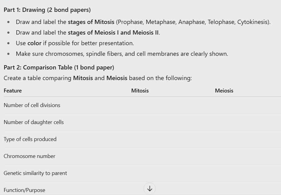 Solved: Drawing (2 bond papers) Draw and label the stages of Mitosis ...
