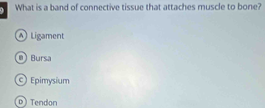 What is a band of connective tissue that attaches muscle to bone?
Ligament
B Bursa
Epimysium
D) Tendon