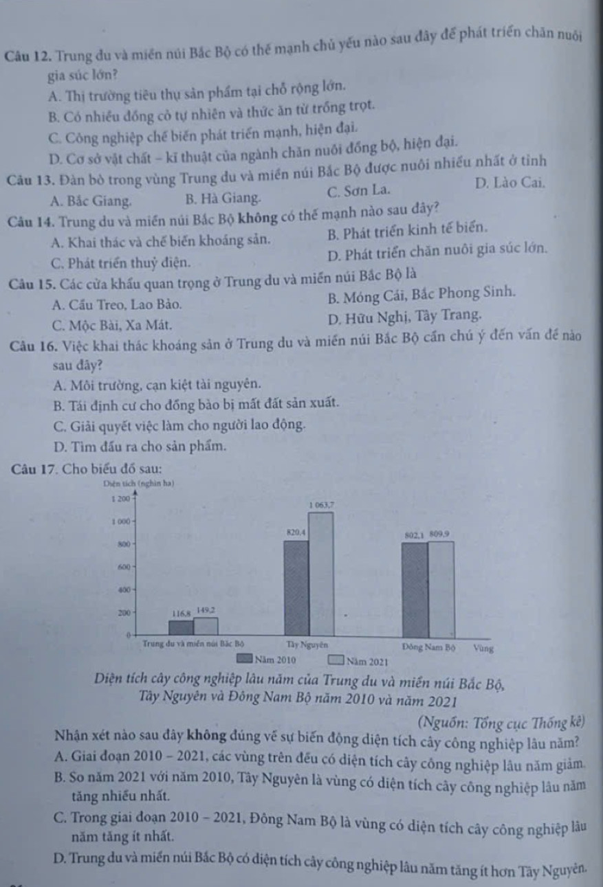 Trung du và miền núi Bắc Bộ có thế mạnh chủ yếu nào sau đây để phát triển chăn nuôi
gia súc lớn?
A. Thị trường tiêu thụ sản phẩm tại chỗ rộng lớn.
B. Có nhiều đồng cỏ tự nhiên và thức ăn từ trồng trọt.
C. Công nghiệp chế biến phát triển mạnh, hiện đại.
D. Cơ sở vật chất - kĩ thuật của ngành chăn nuồi đồng bộ, hiện đại.
Câu 13. Đàn bò trong vùng Trung du và miền núi Bắc Bộ được nuôi nhiều nhất ở tỉnh
A. Bắc Giang. B. Hà Giang. C. Sơn La.
D. Lào Cai.
Câu 14. Trung du và miền núi Bắc Bộ không có thế mạnh nào sau đây?
A. Khai thác và chế biến khoáng sản. B. Phát triển kinh tế biển.
C. Phát triển thuỷ điện. D. Phát triển chăn nuôi gia súc lớn.
Câu 15. Các cửa khẩu quan trọng ở Trung du và miền núi Bắc Bộ là
A. Cầu Treo, Lao Bào. B. Móng Cái, Bắc Phong Sinh.
C. Mộc Bài, Xa Mát. D. Hữu Nghị, Tây Trang.
Câu 16. Việc khai thác khoáng sản ở Trung du và miền núi Bắc Bộ cần chú ý đến vấn để nào
sau dây?
A. Môi trường, cạn kiệt tài nguyên.
B. Tái định cư cho đồng bào bị mất đất sản xuất.
C. Giải quyết việc làm cho người lao động.
D. Tìm đấu ra cho sản phẩm.
Câu 17. Cho biểu đồ sau:
Diện tích cây công nghiệp lâu năm của Trung du và miền núi Bắc Bộ,
Tây Nguyên và Đông Nam Bộ năm 2010 và năm 2021
Nguồn: Tổng cục Thống kê)
Nhận xét nào sau đây không đúng vế sự biến động diện tích cây công nghiệp lâu năm?
A. Giai đoạn 2010 - 2021, các vùng trên đều có diện tích cây công nghiệp lâu năm giảm
B. So năm 2021 với năm 2010, Tây Nguyên là vùng có diện tích cây công nghiệp lâu năm
tăng nhiếu nhất.
C. Trong giai đoạn 2010 - 2021, Đông Nam Bộ là vùng có diện tích cây công nghiệp lâu
năm tăng ít nhất.
D. Trung du và miền núi Bắc Bộ có diện tích cây công nghiệp lâu năm tăng ít hơn Tây Nguyên.