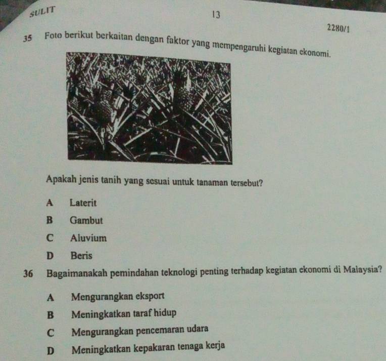 SULIT
13
2280/1
35 Foto berikut berkaitan dengan faktor yang mempengaruhi kegiatan ekonomi.
Apakah jenis tanih yang sesuai untuk tanaman tersebut?
A Laterit
B Gambut
C Aluvium
D Beris
36 Bagaimanakah pemindahan teknologi penting terhadap kegiatan ekonomi di Malaysia?
A Mengurangkan eksport
B Meningkatkan taraf hidup
C Mengurangkan pencemaran udara
D Meningkatkan kepakaran tenaga kerja