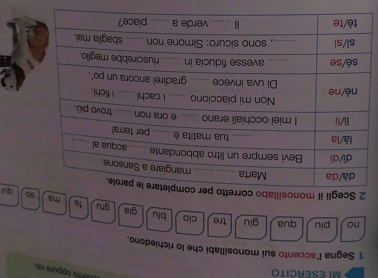 MI ESERCITO 
ento oppure no. 
1 Segna l’accento sui monosillabi che lo richiedono. 
no piu qua giu tre cio blu gia gru fa 
ma soui 
2 Scegli il monosilla