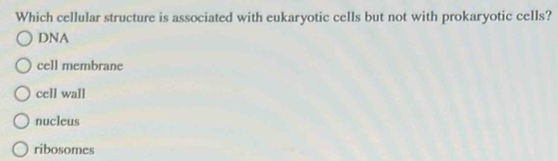 Which cellular structure is associated with eukaryotic cells but not with prokaryotic cells?
DNA
cell membrane
cell wall
nucleus
ribosomes