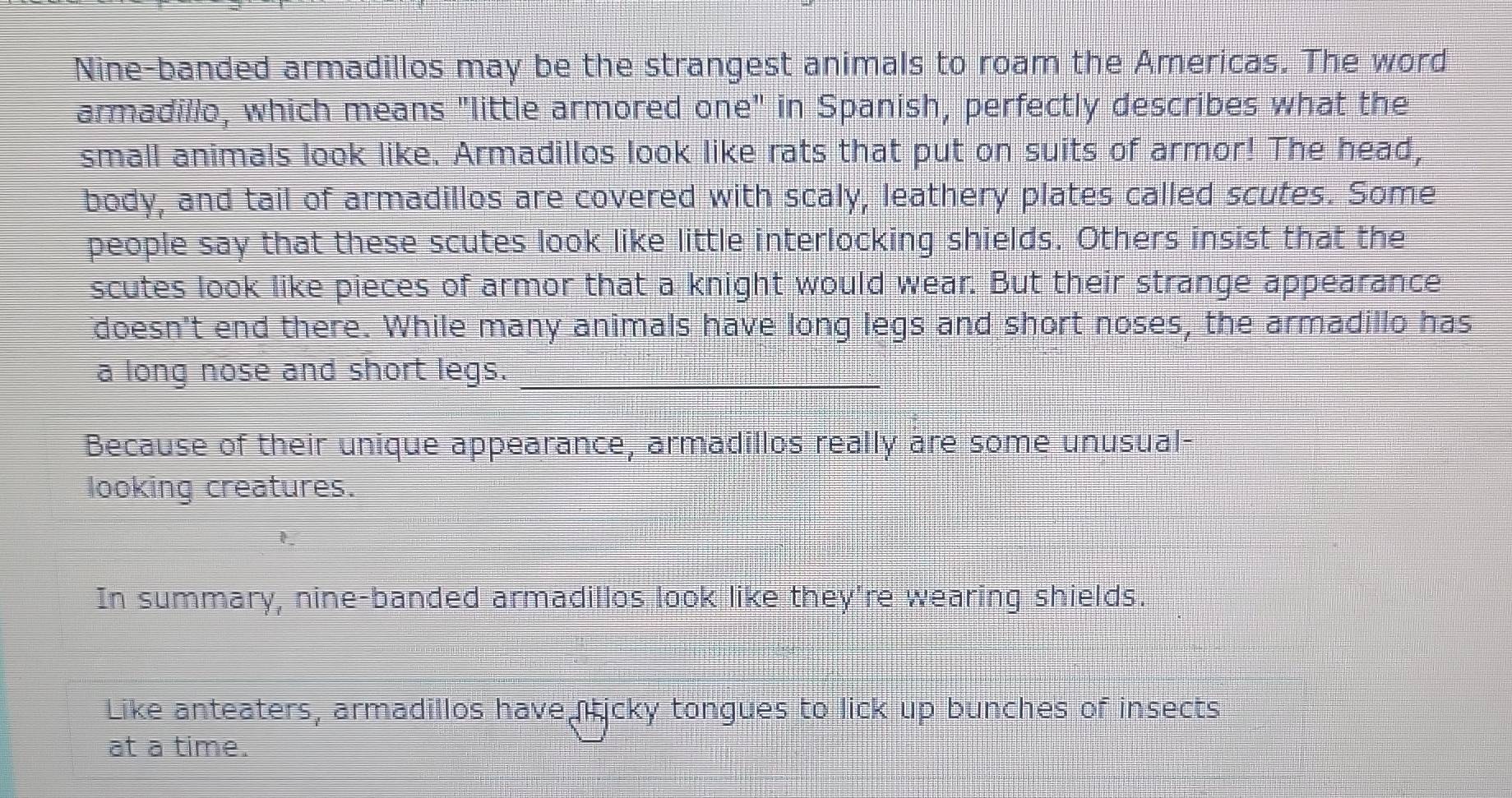 Nine-banded armadillos may be the strangest animals to roam the Americas. The word 
armadillo, which means "little armored one" in Spanish, perfectly describes what the 
small animals look like. Armadillos look like rats that put on suits of armor! The head, 
body, and tail of armadillos are covered with scaly, leathery plates called scutes. Some 
people say that these scutes look like little interlocking shields. Others insist that the 
scutes look like pieces of armor that a knight would wear. But their strange appearance 
doesn't end there. While many animals have long legs and short noses, the armadillo has 
a long nose and short legs._ 
Because of their unique appearance, armadillos really are some unusual- 
looking creatures. 
In summary, nine-banded armadillos look like they're wearing shields. 
Like anteaters, armadillos have nticky tongues to lick up bunches of insects 
at a time.