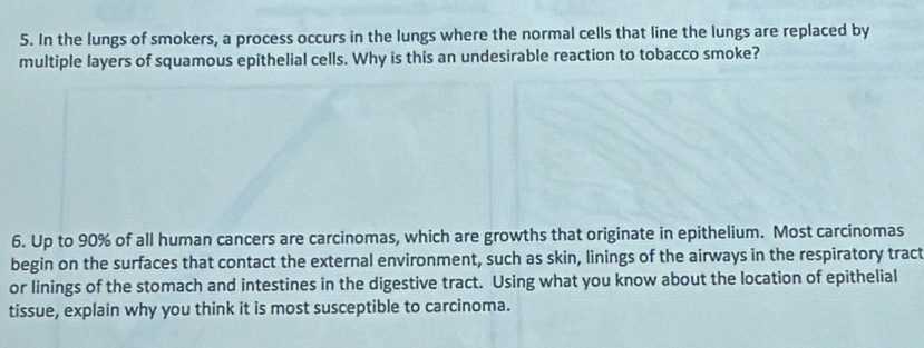 In the lungs of smokers, a process occurs in the lungs where the normal cells that line the lungs are replaced by 
multiple layers of squamous epithelial cells. Why is this an undesirable reaction to tobacco smoke? 
6. Up to 90% of all human cancers are carcinomas, which are growths that originate in epithelium. Most carcinomas 
begin on the surfaces that contact the external environment, such as skin, linings of the airways in the respiratory tract 
or linings of the stomach and intestines in the digestive tract. Using what you know about the location of epithelial 
tissue, explain why you think it is most susceptible to carcinoma.