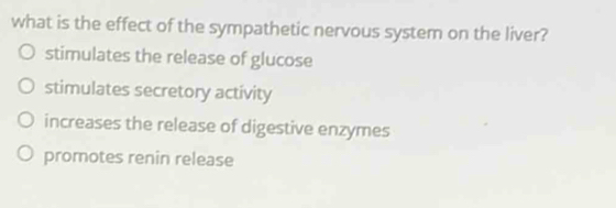 what is the effect of the sympathetic nervous system on the liver?
stimulates the release of glucose
stimulates secretory activity
increases the release of digestive enzymes
promotes renin release