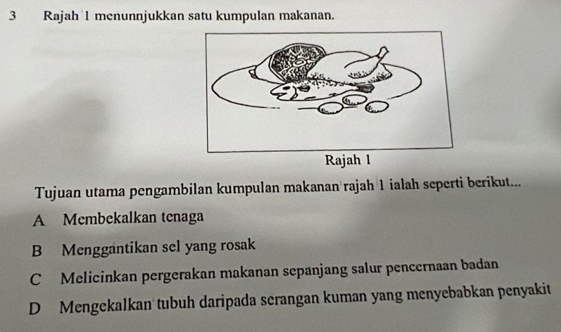 Rajah 1 menunnjukkan satu kumpulan makanan.
Tujuan utama pengambilan kumpulan makanan rajah 1 ialah seperti berikut...
A Membekalkan tenaga
B Menggantikan sel yang rosak
C Melicinkan pergerakan makanan sepanjang salur pencernaan badan
D Mengekalkan tubuh daripada serangan kuman yang menyebabkan penyakit