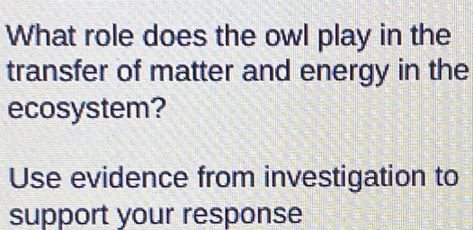 What role does the owl play in the 
transfer of matter and energy in the 
ecosystem? 
Use evidence from investigation to 
support your response