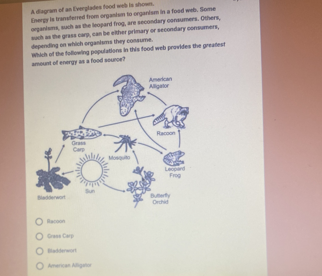 Solved: A diagram of an Everglades food web is shown. Energy is ...