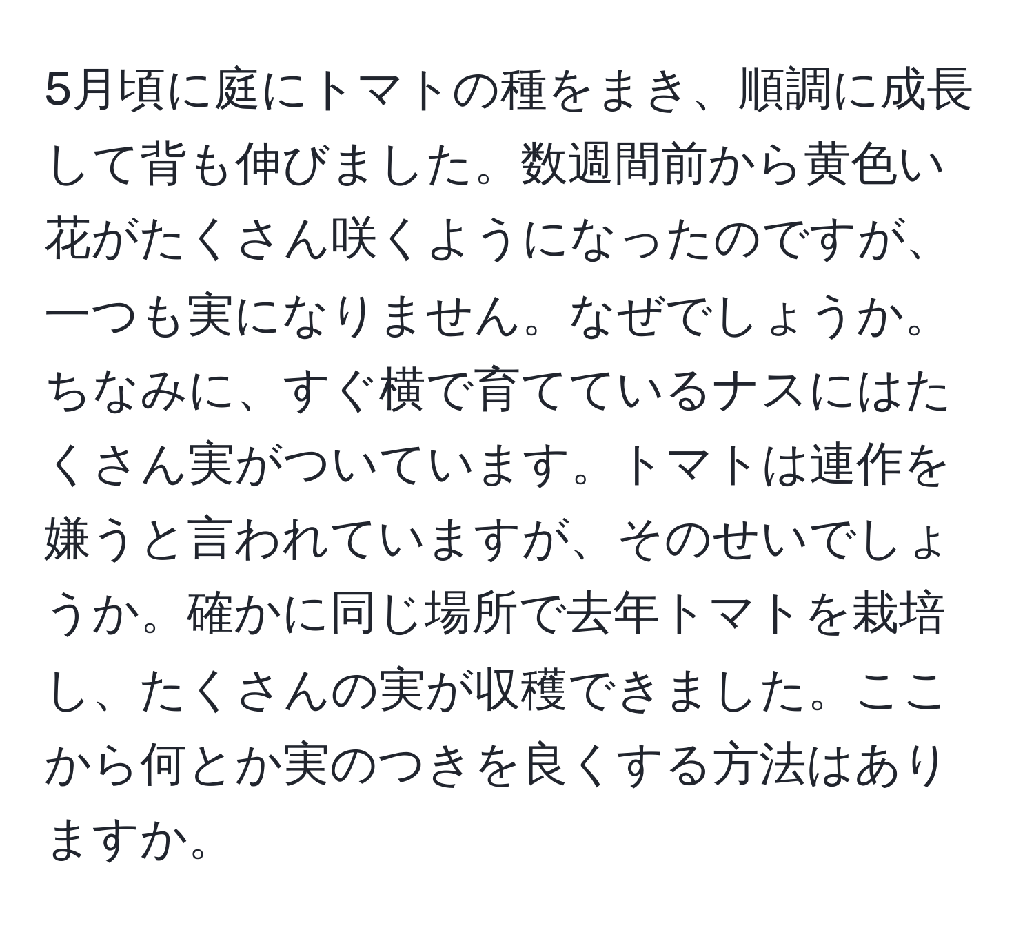 5月頃に庭にトマトの種をまき、順調に成長して背も伸びました。数週間前から黄色い花がたくさん咲くようになったのですが、一つも実になりません。なぜでしょうか。ちなみに、すぐ横で育てているナスにはたくさん実がついています。トマトは連作を嫌うと言われていますが、そのせいでしょうか。確かに同じ場所で去年トマトを栽培し、たくさんの実が収穫できました。ここから何とか実のつきを良くする方法はありますか。