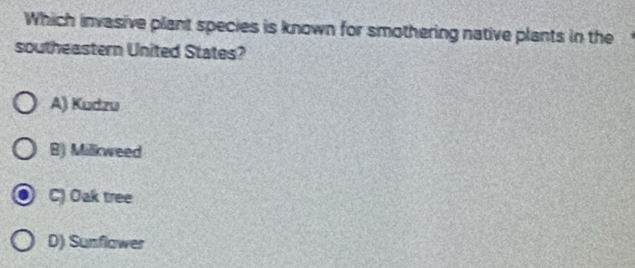 Which invasive plant species is known for smothering native plants in the
southeastern United States?
A) Kudzu
B) Milkweed
C) Oak tree
D) Sunflawer