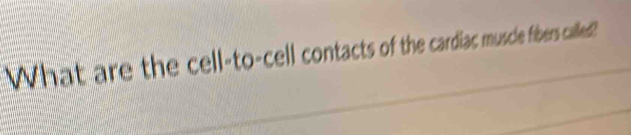 What are the cell-to-cell contacts of the cardiac muscle fibers called?