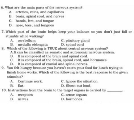 What are the main parts of the nervous system?
A. arteries, veins, and capillaries
B. brain, spinal cord, and nerves
C. hands, feet, and tongue
D. nose, toes, and tongues
7. Which part of the brain helps keep your balance so you don't just fall or
stumble while walking?
A. cerebellum C. pituitary gland
B. medulla oblongata D. spinal cord
8. Which of the following is TRUE about central nervous system?
A.It can be classified as somatic and autonomic nervous system.
B. It is composed of the brain and spinal cord.
C. It is composed of the brain, spinal cord, and hormones.
D. It is composed of cranial and spinal nerves.
9. You felt hungry because you haven't eaten your food for lunch trying to
finish home works. Which of the following is the best response to the given
stimulus?
A. Continue work. C. Ignore the situation.
B. Eat. D. Shout out loud.
10. Instructions from the brain to the target organs is carried by_
A. receptors C. sense organs
B. nerves D. hormones