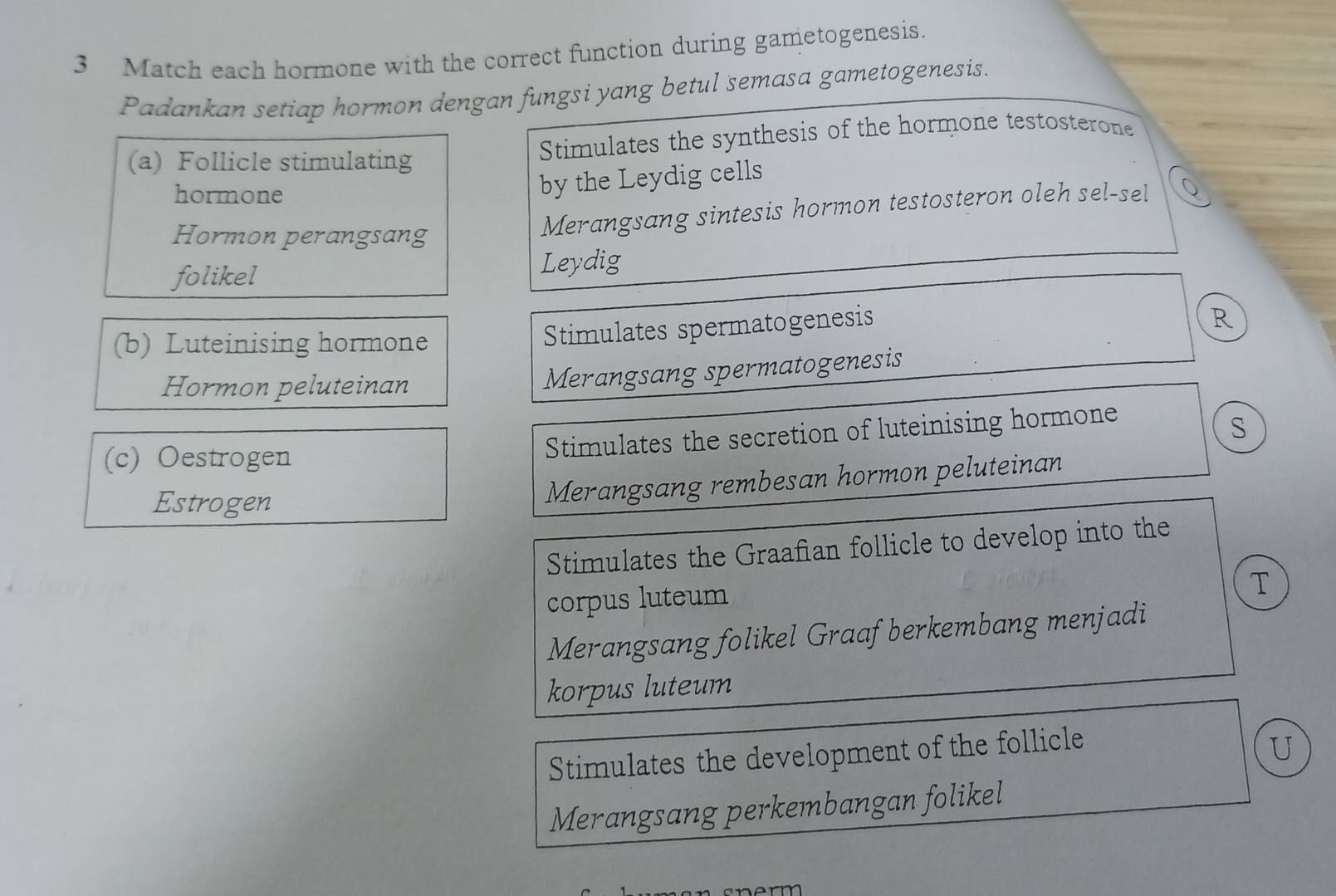 Match each hormone with the correct function during gametogenesis.
Padankan setiap hormon dengan fungsi yang betul semasa gametogenesis.
(a) Follicle stimulating Stimulates the synthesis of the hormone testosterone
hormone
by the Leydig cells
Hormon perangsang
Merangsang sintesis hormon testosteron oleh sel-sel 。
folikel Leydig
R
(b) Luteinising hormone
Stimulates spermatogenesis
Hormon peluteinan
Merangsang spermatogenesis
(c) Oestrogen
Stimulates the secretion of luteinising hormone
S
Estrogen
Merangsang rembesan hormon peluteinan
Stimulates the Graafian follicle to develop into the
corpus luteum
T
Merangsang folikel Graaf berkembang menjadi
korpus luteum
Stimulates the development of the follicle
U
Merangsang perkembangan folikel