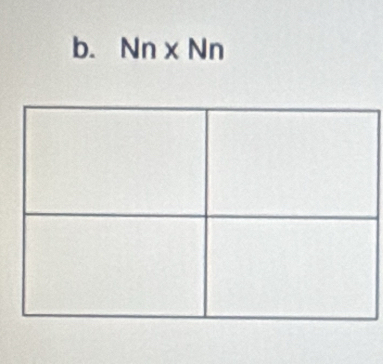 Nn* Nn