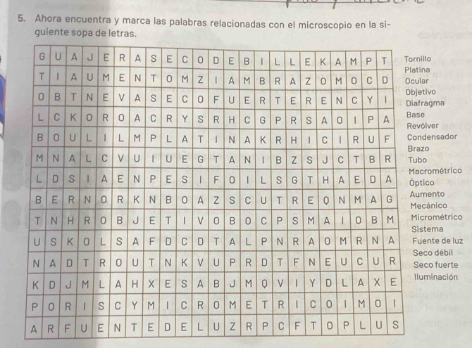 Ahora encuentra y marca las palabras relacionadas con el microscopio en la si- 
guiente sopa de letras 
o 
vogma 
ver 
nsador 
ométrico o 
nto 
nico 
ométrico 
ema 
nte de luz 
o débil o fuerte 
inación