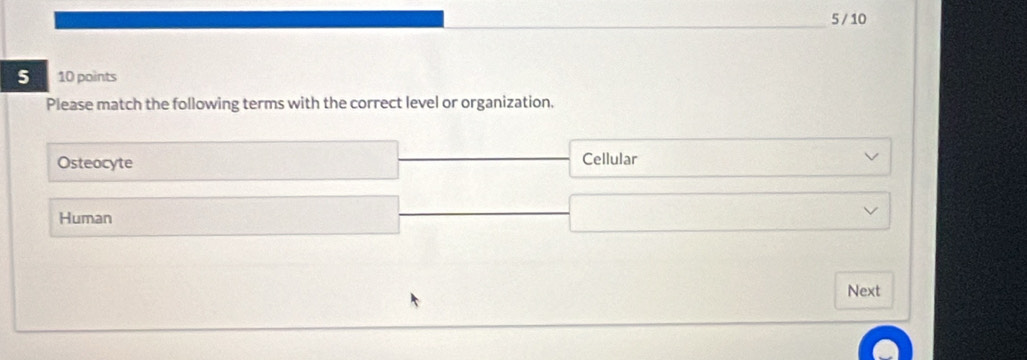 5 / 10 
5 10 points 
Please match the following terms with the correct level or organization. 
Osteocyte Cellular 
Human 
Next