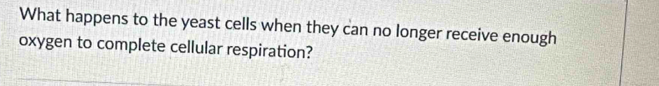 What happens to the yeast cells when they can no longer receive enough 
oxygen to complete cellular respiration?