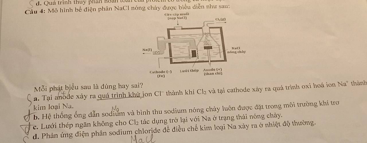 Quá trình thuy phân hoán toài c
Câu 4: Mô hình bể điện phân NaCl nóng chảy được biểu diễn như sau:
Mỗi phát biểu sau là đúng hay sai?
a. Tại anode xảy ra quá trình khử jon Cl thành khí Cl_2 và tại cathode xảy ra quá trình oxi hoá ion Na * thành
kim loại Na.
b. Hệ thống ống dẫn sodium và bình thu sodium nóng chảy luôn được đặt trong môi trường khí trơ
c. Lưới thép ngăn không cho Cl_2 tác dụng trở lại với Na ở trạng thái nóng chảy.
d. Phản ứng điện phân sodium chlorịde để điều chế kim loại Na xảy ra ở nhiệt độ thường.