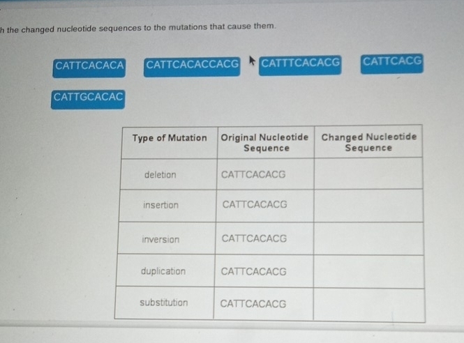 the changed nucleotide sequences to the mutations that cause them. 
CATTCACACA CATTCACACCACG CATTTCACACG CATTCACG 
CATTGCACAC