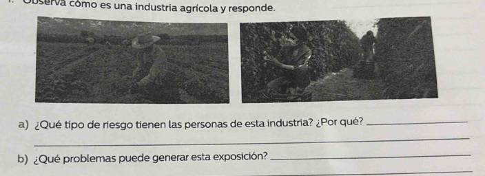 oserva como es una industria agrícola y responde. 
a) ¿Qué tipo de riesgo tienen las personas de esta industria? ¿Por qué?_ 
_ 
b)¿Qué problemas puede generar esta exposición? 
_ 
_