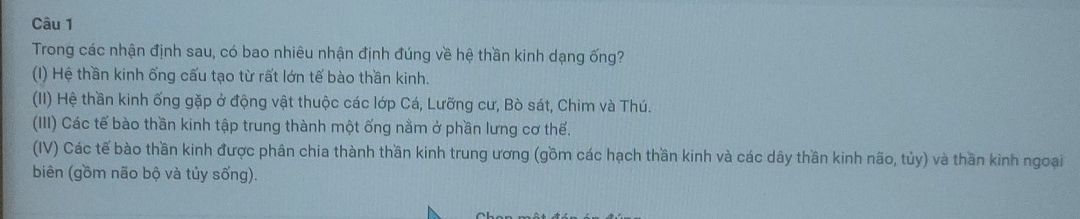 Trong các nhận định sau, có bao nhiêu nhận định đúng về hệ thần kinh dạng ống? 
(I) Hệ thần kinh ống cấu tạo từ rất lớn tế bào thần kinh. 
(II) Hệ thần kinh ống gặp ở động vật thuộc các lớp Cá, Lưỡng cư, Bò sát, Chim và Thú. 
(III) Các tế bào thần kinh tập trung thành một ống nằm ở phần lưng cơ thể. 
(IV) Các tế bào thần kinh được phân chia thành thần kinh trung ương (gồm các hạch thần kinh và các dây thần kinh não, tủy) và thần kinh ngoại 
biên (gồm não bộ và tủy sống).