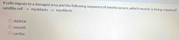 If cells migrate to a damaged area and the following sequence of events occurs, which muscle is being repaired?
satellite cell → myoblasts → myofbrils
skeletal
smooth
cardiac