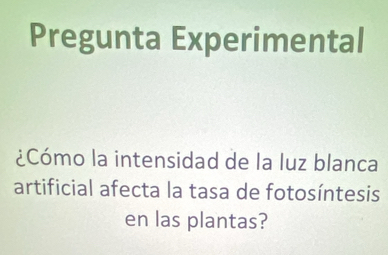 Pregunta Experimental 
¿Cómo la intensidad de la luz blanca 
artificial afecta la tasa de fotosíntesis 
en las plantas?