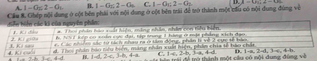 A. 1-G_2,2-G_1, B. 1-G_2;2-G_a. C. 1-G_1;2-G_2. D. I-G_1;2-G_0.
Câu 8. Ghép nội dung ở cột bên phải với nội dung ở cột bên trái để trở thành một cầu có nội dung đúng về
A. 1-
*  bê   trái