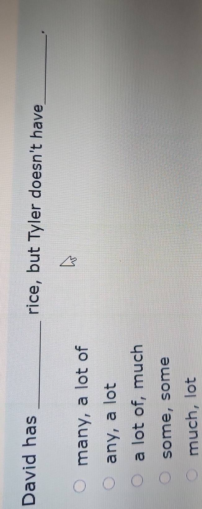 David has _rice, but Tyler doesn't have
_'
many, a lot of
any, a lot
a lot of, much
some, some
much, lot