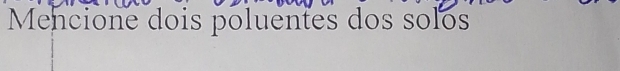 Mencione dois poluentes dos solos