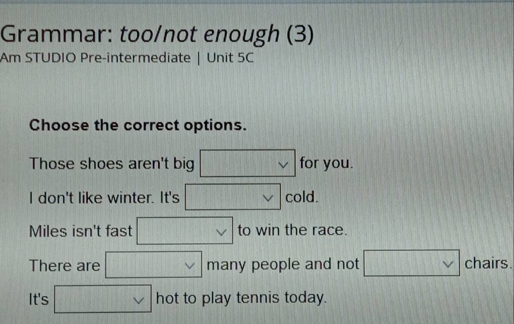 Grammar: too/not enough (3)
Am STUDIO Pre-intermediate | Unit 5C
Choose the correct options.
Those shoes aren't big frac  || for you.
I don't like winter. It's || cold.
Miles isn't fast°2 □ to win the race.
There are □ vee  many people and not □ vee  chairs.
It's □ vee  hot to play tennis today.