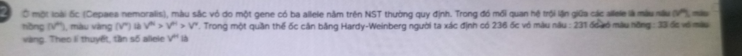 Ở một loài ốc (Cepaea nemoralis), màu sắc vỏ do một gene có ba allele năm trên NST thường quy định. Trong đó mối quan hệ trội lận giữa các allele là màu nàu (V), más 
nồng (V'), màu vàng (V") là V^(|N|)>V^H>V^v. Trong một quần thế ốc cân bằng Hardy-Weinberg người ta xác định có 236 ốc vỏ màu nău : 231 ốc vó màu hồng : 33 đc vô màu 
vàng. Theo lí thuyết, tần số allele V^H là