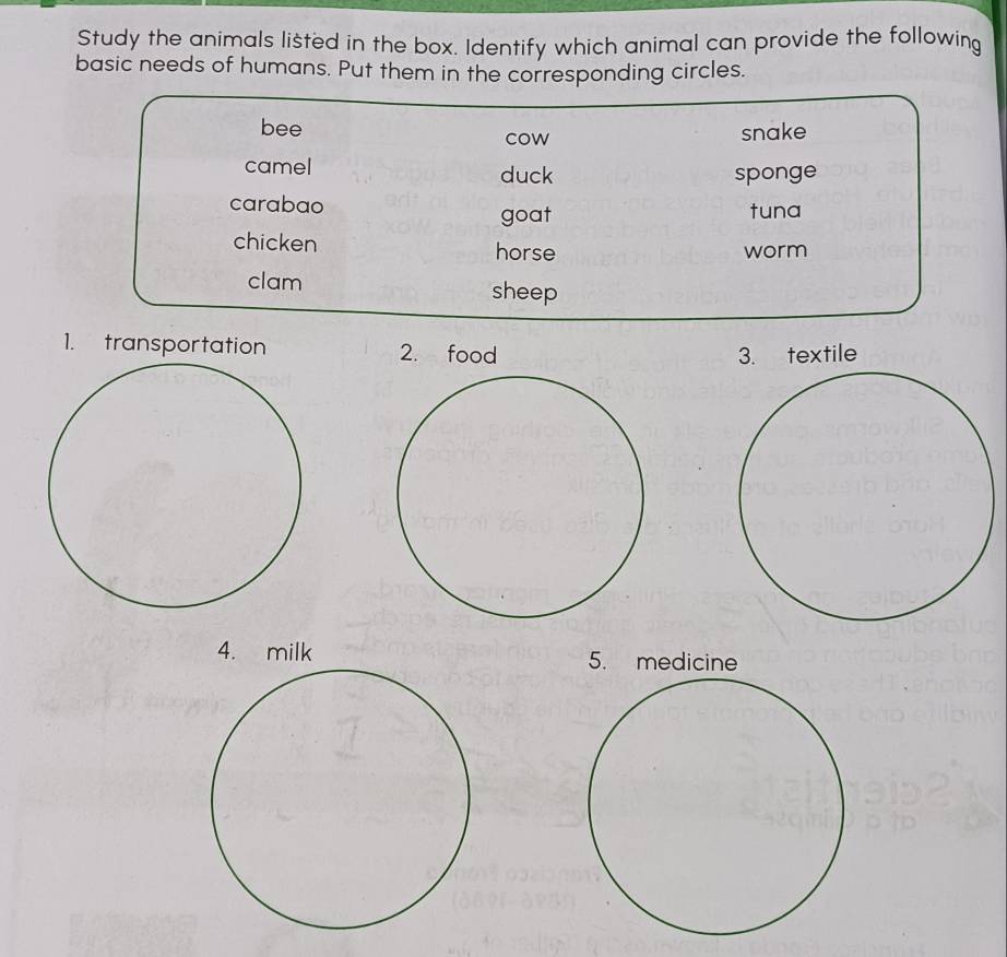 Study the animals listed in the box. Identify which animal can provide the following 
basic needs of humans. Put them in the corresponding circles. 
bee cow 
snake 
camel duck sponge 
carabao 
goat tuna 
chicken horse 
worm 
clam 
sheep 
1. transportation 2. food 
3. textile 
4. milk 5. medicine