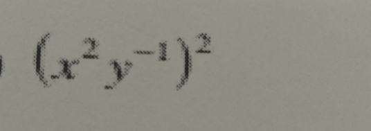 (x^2y^(-1))^2