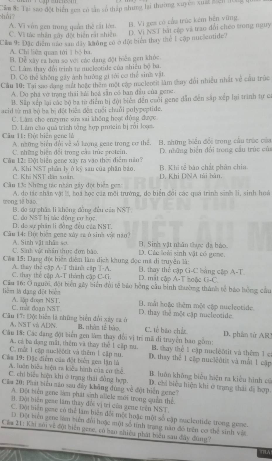 Tại sao đột biển gen có tần số thấp nhưng lại thường xuyên xuất niện hư ng v y
hổi?
A. Vì vồn gen trong quần thể rất lớn. B. Vi gen có cấu trúc kém bền vững.
C. Vì tác nhân gây đột biến rất nhiều. D. Vì NST bắt cặp và trao đổi chéo trong nguy
Câu 9: Đặc điểm nào sau dây không có ở đột biển thay thế 1 cặp nucleotide?
A. Chi liên quan tới 1 bộ ba.
B. Dễ xảy ra hơn so với các dạng đột biển gen khỏc.
C. Làm thay đổi trình tự nucleotide của nhiều bộ ba.
D. Có thể không gây ảnh hưởng gì tới cơ thể sinh vật.
Câu 10: Tại sao dạng mất hoặc thêm một cặp nucleotit làm thay đổi nhiều nhất về cấu trúc
A. Do phá vở trạng thái hài hoà sẵn có ban đầu của gene.
B. Sắp xếp lại các bộ ba từ điểm bị đột biến đến cuối gene dẫn đến sắp xếp lại trình tự ca
acid từ mã bộ ba bị đột biến đến cuối chuỗi polypeptide.
C. Làm cho enzyme sửa sai không hoạt động được.
D. Làm cho quá trình tổng hợp protein bị rồi loạn.
Câu 11: Đột biển gene là
A. những biến đổi về số lượng gene trong cơ thể. B. những biến đổi trong cấu trúc của
C. những biển đổi trong cầu trúc protein. D. những biển đổi trong cầu trúc của
Câu 12: Đột biển gene xảy ra vào thời điểm nào?
A. Khi NST phân ly ở kỳ sau của phân bào. B. Khi tế bào chất phân chia.
C. Khi NST dãn xoắn. D. Khi DNA tái bản.
Câu 13: Những tác nhân gây đột biển gen:
A. do tác nhân vật lí, hoá học của môi trường, do biến đồi các quá trình sinh lí, sinh hoá
trong tế bào.
B. do sự phân li không đồng đều của NST.
C. do NST bị tác động cơ học.
D. do sự phân li đồng đều của NST.
Câu 14: Đột biển gene xảy ra ở sinh vật nào?
A. Sinh vật nhân sơ. B. Sinh vật nhân thực đa bào.
C. Sinh vật nhân thực đơn bào. D. Các loài sinh vật có gene.
Câu 15: Dạng đột biển điểm làm dịch khung đọc mã di truyền là:
A. thay thể cặp A-T thành cặp T-A. B. thay thể cặp G-C bằng cặp A-T.
C. thay thể cặp A-T thành cặp C-G. D. mất cặp A-T hoặc G-C.
Câu 16: Ở người, đột biến gây biến đổi tế bào hồng cầu bình thường thành tế bảo hồng cầu
liểm là dạng đột biến
A. lặp đoạn NST. B. mất hoặc thêm một cặp nucleotide.
C. mất đoạn NST. D. thay thế một cặp nucleotide.
Câu 17: Đột biển là những biển đổi xảy ra ở
A. NST và ADN. B. nhân tế bào. C. tế bào chất. D. phân tử AR
Câu 18: Các dạng đột biến gen làm thay đổi vị trí mã di truyền bao gồm:
A. cả ba dạng mất, thêm và thay thế 1 cặp nu.  B. thay thể 1 cặp nuclêôtit và thêm 1 c
C. mất 1 cặp nuclêôtit và thêm 1 cặp nu. D. thay thể 1 cặp nuclêôtit và mất 1 cặp
Câu 19: Đặc diểm của đột biển gen lặn là
A. luôn biểu hiện ra kiều hình của cơ thể. B. luôn không biểu hiện ra kiểu hình củ
C. chi biểu hiện khi ở trạng thái đồng hợp. D. chỉ biểu hiện khi ở trạng thái dị hợp.
Câu 20: Phát biểu nào sau đây không đúng về đột biển gene?
A. Đột biển gene làm phát sinh allele mới trong quần thể.
B. Đột biến gene làm thay đổi vị trí của gene trên NST.
C. Đột biến gene có thể làm biến đổi một hoặc một số cặp nucleotide trong gene.
D. Đột biến gene làm biến đổi hoặc một số tính trạng nào đó trên cơ thể sinh vật.
Câu 21: Khi nói về đột biển gene, có bao nhiêu phát biểu sau đây đúng?
TRA