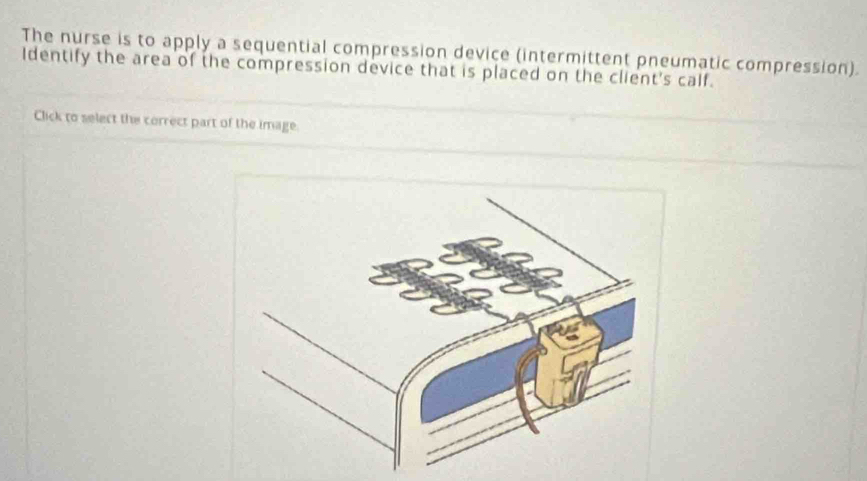 The nurse is to apply a sequential compression device (intermittent pneumatic compression). 
Identify the area of the compression device that is placed on the client's calf. 
Click to select the correct part of the image.